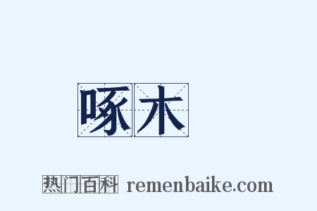 啄木鳥是什么意思的图片